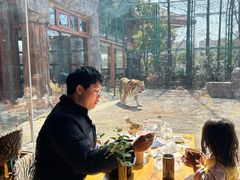 -上海野生动物园老虎餐厅