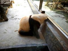 -西安秦岭野生动物园