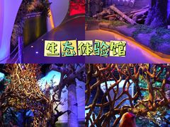 -威海华夏城景区