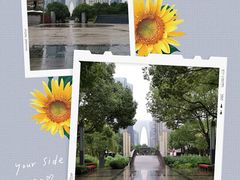 -中央公园(苏州工业园区)