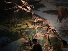 -自贡恐龙博物馆