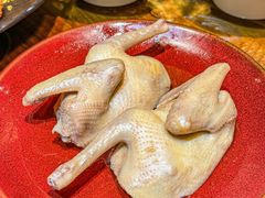 -龙悦湾酒家·八阵鱼生·渔人码头店