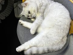 -M.S拳击泰拳馆(大学路店)
