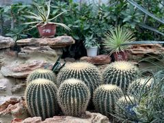 -国家植物园南园