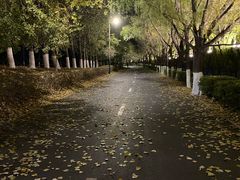 -长白岛森林公园