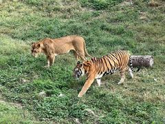 -济南野生动物世界