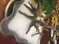 海通1号(梅峰店)-海通1号(梅峰店)