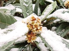 -万科·金域曲江