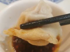 -东方饺子王(新奥购物中心店)