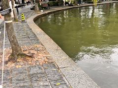 -西湖游船