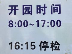 -嘉定紫藤园