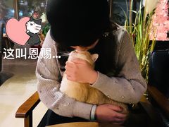 -咖法森林·咖啡  酒吧(天河店)