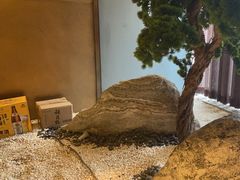 -山葵家·创意料理(临平银泰城店)