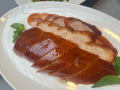 -京炉烤鸭·新京菜·庭院餐厅(大东方·欢乐谷店)