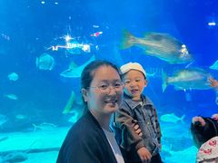 -烟台海昌鲸鲨海洋公园