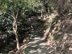 -南山植物园