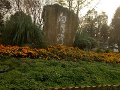 -白鹭湾湿地公园