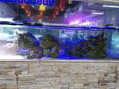 -中环花鸟鱼虫市场