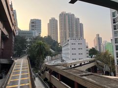 -香港大学