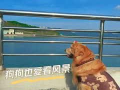 -江南天池