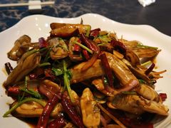 -来哥菜馆·大厨烹小鲜