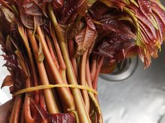 香椿-西华肉菜市场(荔湾店)