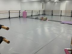 -中央芭蕾舞团·中芭艺蕾(酒仙桥明星校区)