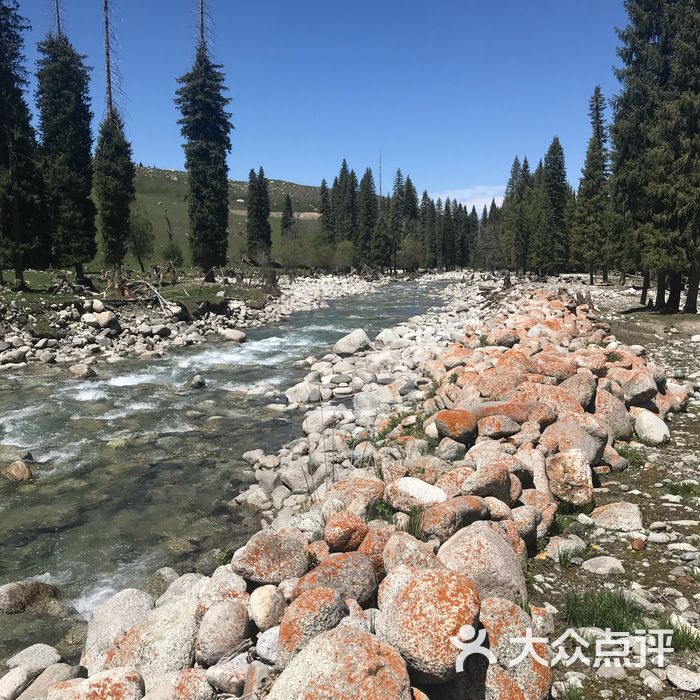 琼库什台紫花坡