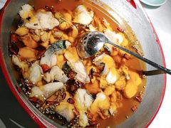 -雲蜀龙阁·金牌水煮鱼(方庄店)