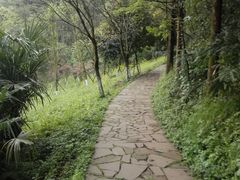 -都江堰中华大熊猫苑