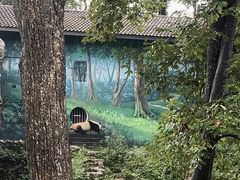 -中国大熊猫保护研究中心雅安碧峰峡基地