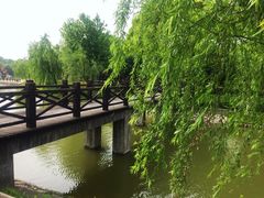 -上海鲜花港