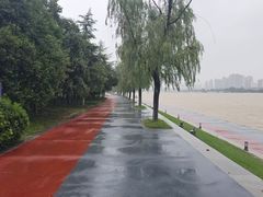 -渭滨公园