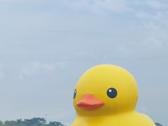 -深圳人才公园