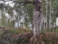 -西溪南古村落