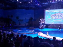 -华夏文旅海洋公园