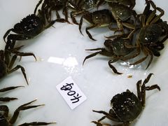 -渔人湾码头海鲜市场负二楼