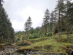 -硗碛藏寨·神木垒景区