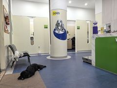 -佩兹宠物医院肿瘤专科·眼科·牙科(黄浦店)