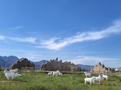 -敕勒川草原文化旅游区