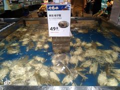 -盒马鲜生(枣园路店)