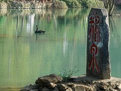 -靖西鹅泉风景区