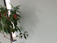 -雅享养生·中医调理·筋骨艾灸(广兰路店)
