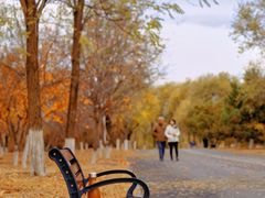 -永定河休闲森林公园