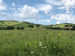 -塞罕坝国家级自然保护区