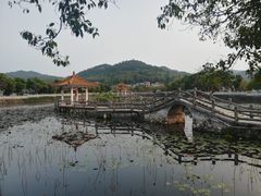 -红山村