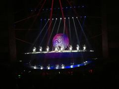 -水秀国际大剧院