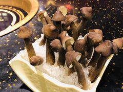 -成都老码头火锅(旺角店)