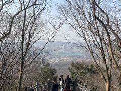-紫金山山顶公园