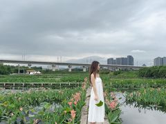 -光明小镇欢乐田园